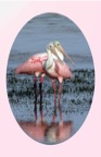 WSpoonbillFriendsValentine.jpg